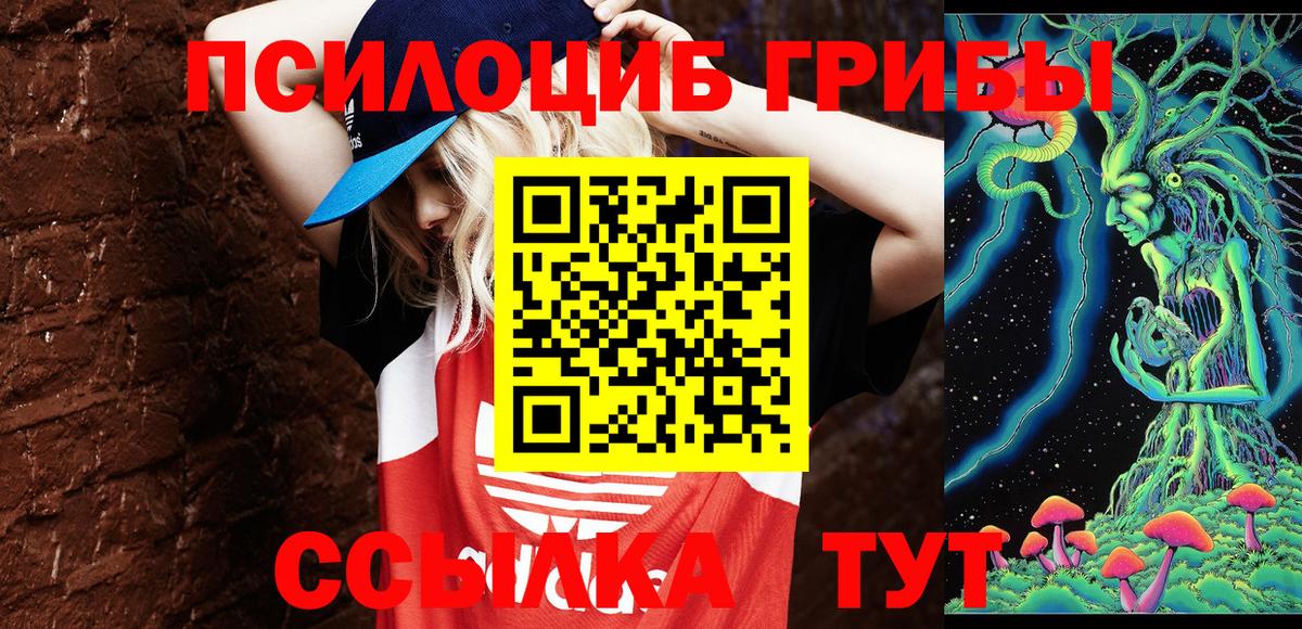 Псилоцибиновые грибы Cubensis Кировск